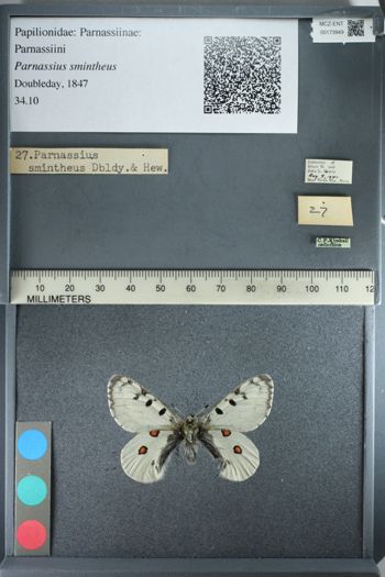 Media type: image;   Entomology 173949